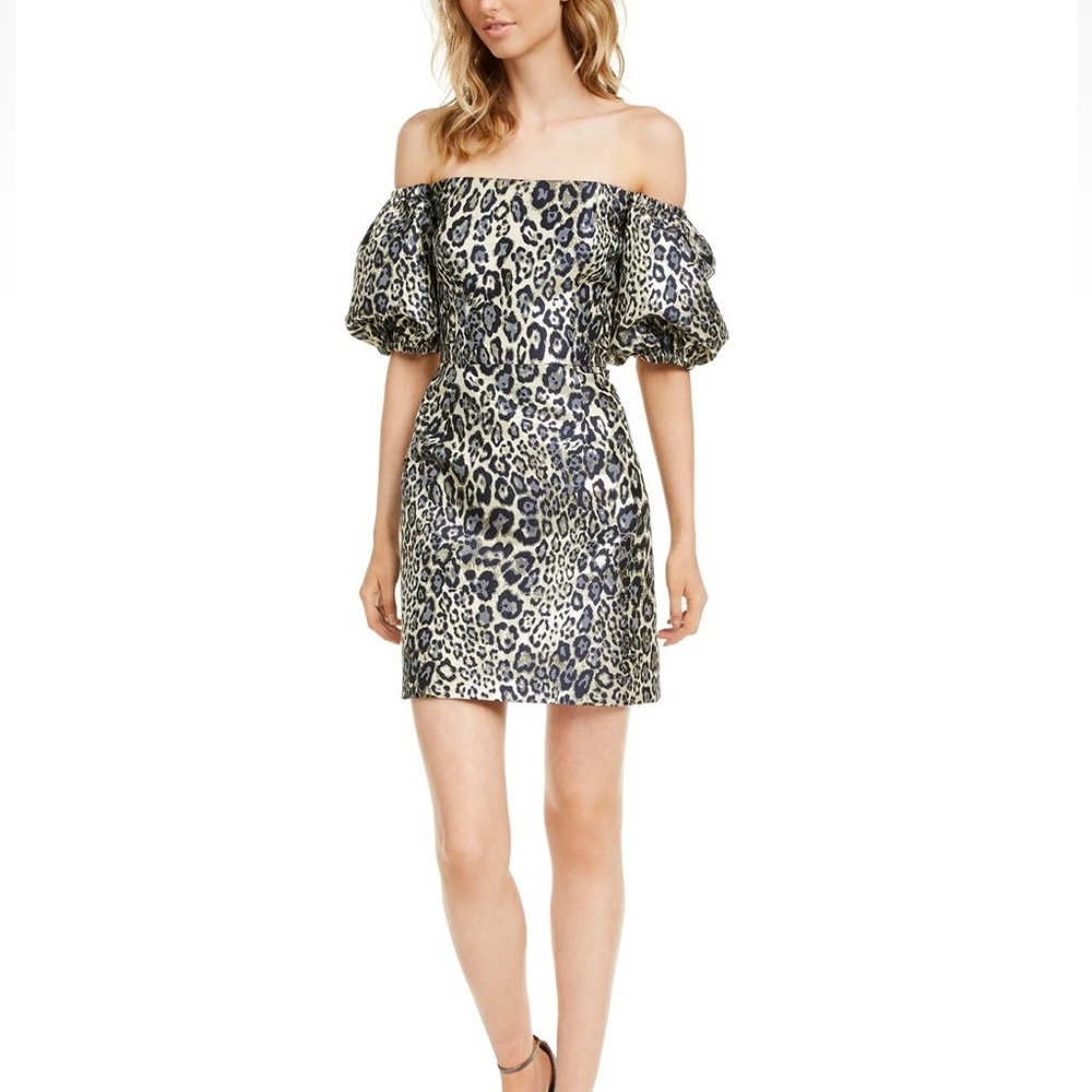 Leopard Print Off-Shoulder Dress